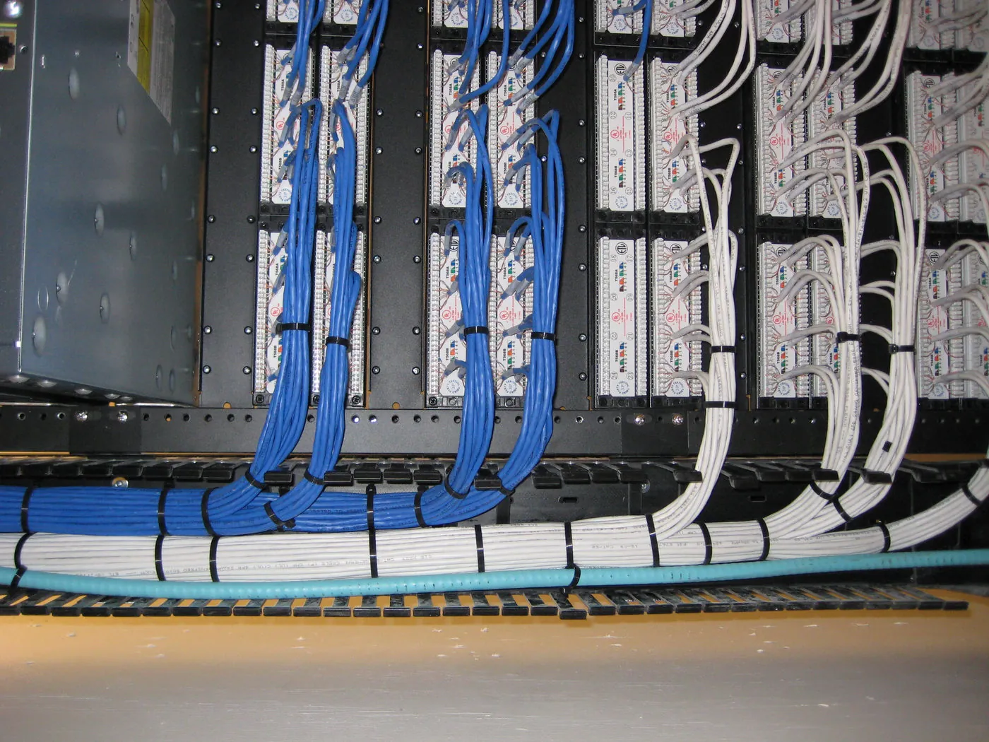 Close-up of blue and white patch cords neatly dressed and connected into a wall-mounted termination panel, with a conduit visible at the bottom.