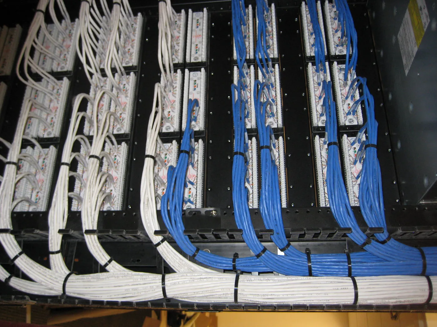 Overhead view of a fully populated patch panel rack with white and blue patch cords dressed into rows of termination blocks.