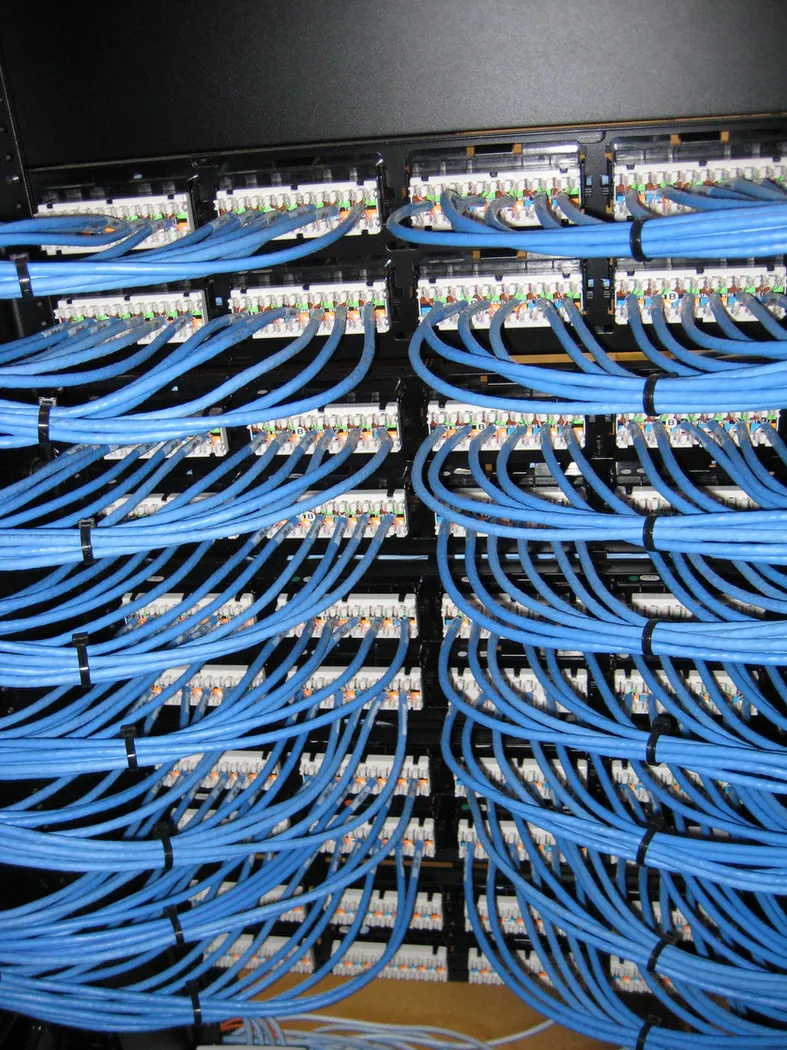 Bundled blue network cabling secured to a cable ladder rack, feeding overhead through a suspended ceiling grid.